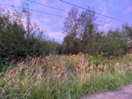 Павловский Посад, Кузнецы, Солнечный, Гусарская