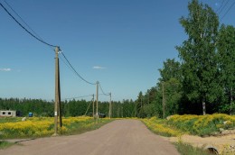 Сосново, Ленинградская
