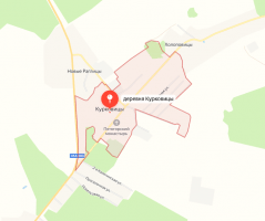 Курковицы