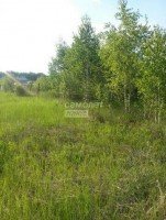 Кашира, Зубово, Березовая роща, к.нт