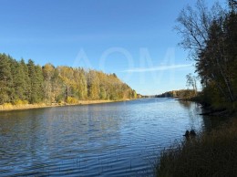 Гранитное, Хвойная