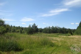 Правдино