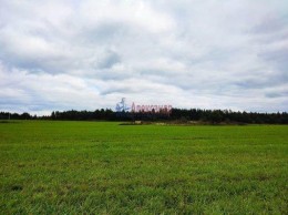 Старый Бор