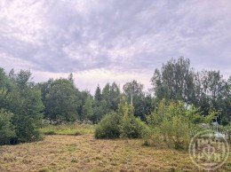 Вырица, Мельничный