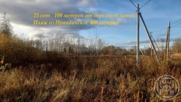 Силино