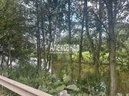 Разбегаево, Большевик, 2-й микрорайон, 17/1к2 литер 1