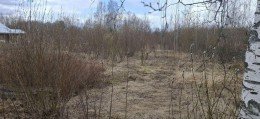 Снежный (Горелово)