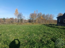 Поддубье (Оредежское с/п), Озерная