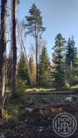 Краснополье