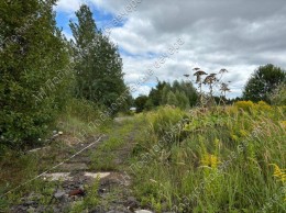 Красногорск, Бузланово