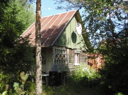 Грузино, Чайка