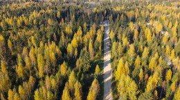 Черемыкино