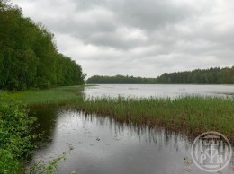 Ханнила, к.нт.