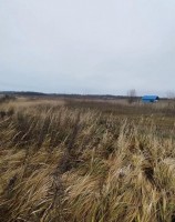 Роговицы