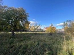 Зеленогорск, Курортная