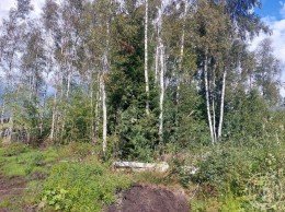 Мертуть, Заозерное, к.нт.