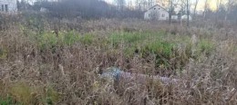 Новый Свет, Массив 52 Северная, 29