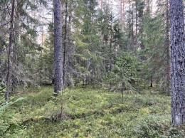 Вещево поселок при железнодорожной стан