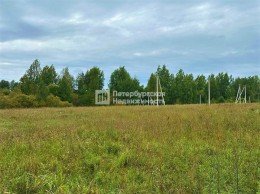 Муя, Центральная