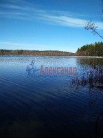 Глубокое, Утиная