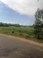 Ручьи