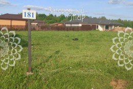 Истра, Ядромино