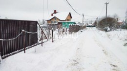 Велигонты