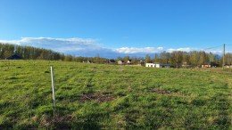 Хязельки, Придорожная