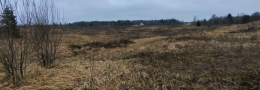 Горье