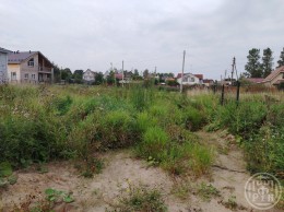 Сойкино
