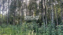 Изыскатель, к.НТ