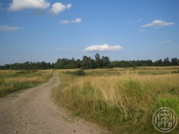 Веснино