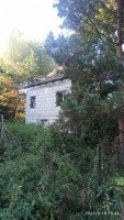 Орехово-Зуево, Минино, к.нт