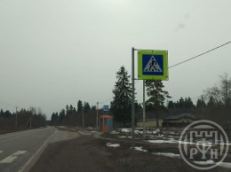 Клопицы