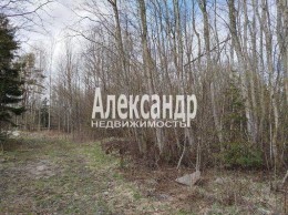 Судаково, Сергеевская