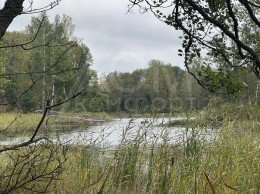 Быково