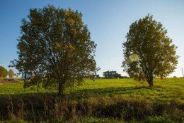 Михайловская