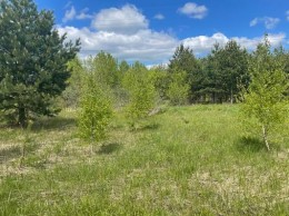 Раменское, Сергия Радонежского