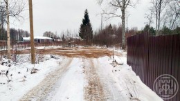 Силино