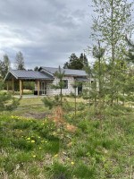 Белоостров, Памир, к.НТ
