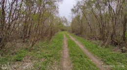 Кулон, к.нт