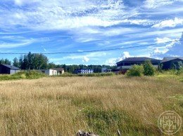 Парголово, Санаторный (Осиновая Роща)