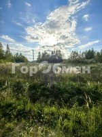Домодедово, Шубино