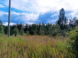 Лодейное Поле, Рабоче-Крестьянская
