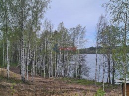 Клеверное