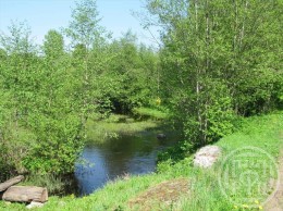 Пехенец