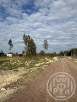 Старая Пустошь