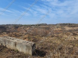 Истра, Корсаково
