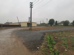 Кривцы, Мечты