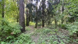 Раменское, Кратово, Комиссарова, 36